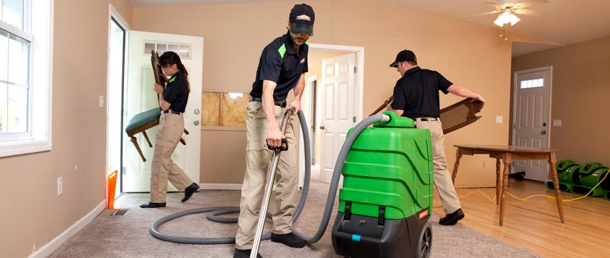 Westfield, NJ cleaning services